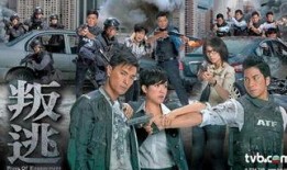 叛逃国语在线观看,揭秘特工背后的惊心动魄